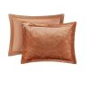 4 Pcs Velvet Comforter Set with Throw Pillow(Twin/Twin XL)