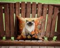 Himalayan Cat in Fall Leaves Throw Pillow Machine Washable, Indoor Outdoor Decorative Pillow for Couch, Bed or Patio, 14Hx14W