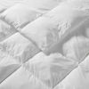 Overfilled Down Alternative Comforter